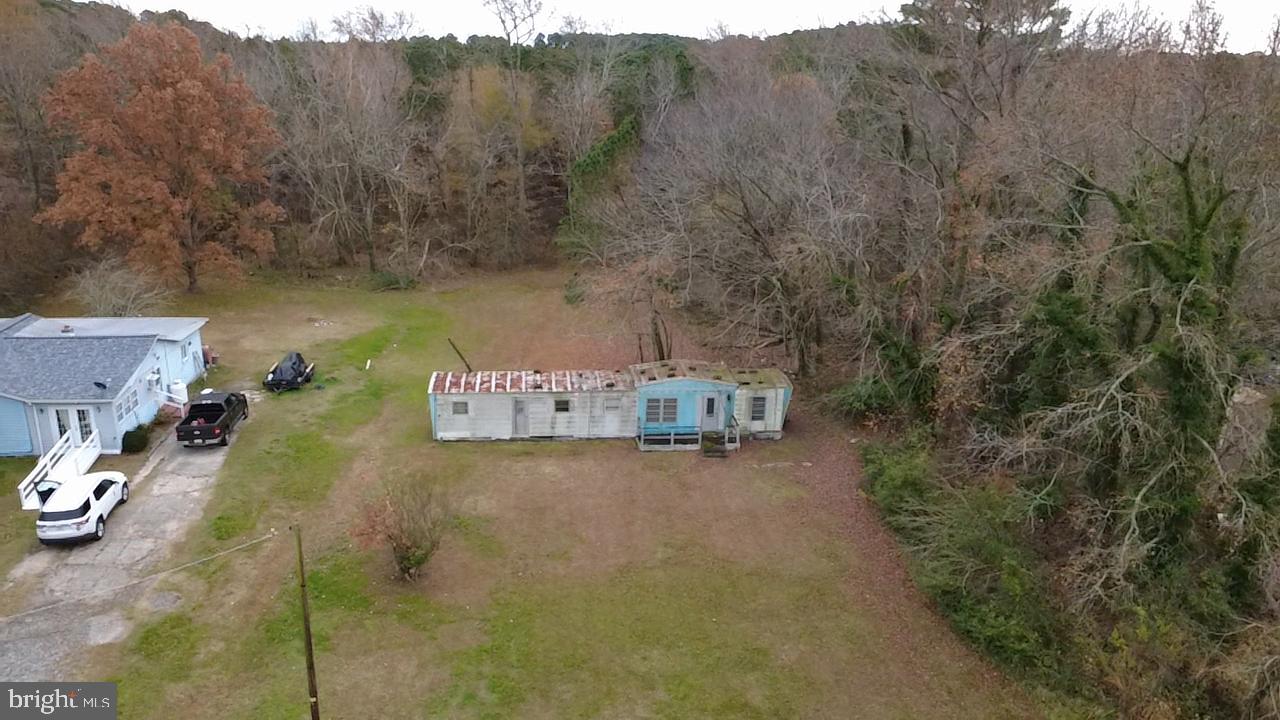 a view of a street with a tree