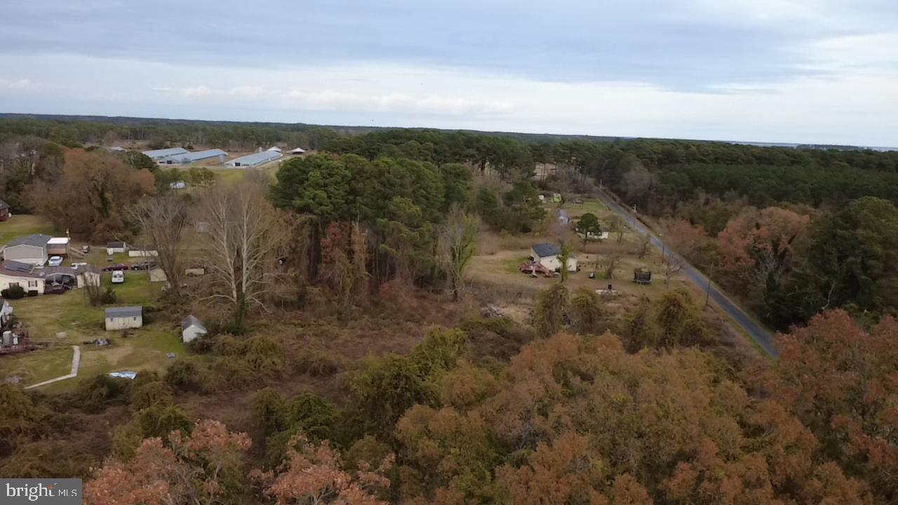 26641 Walter Jones Road Crisfield, MD 21817 - Photo 7 of 7 a view of a city with lots of trees