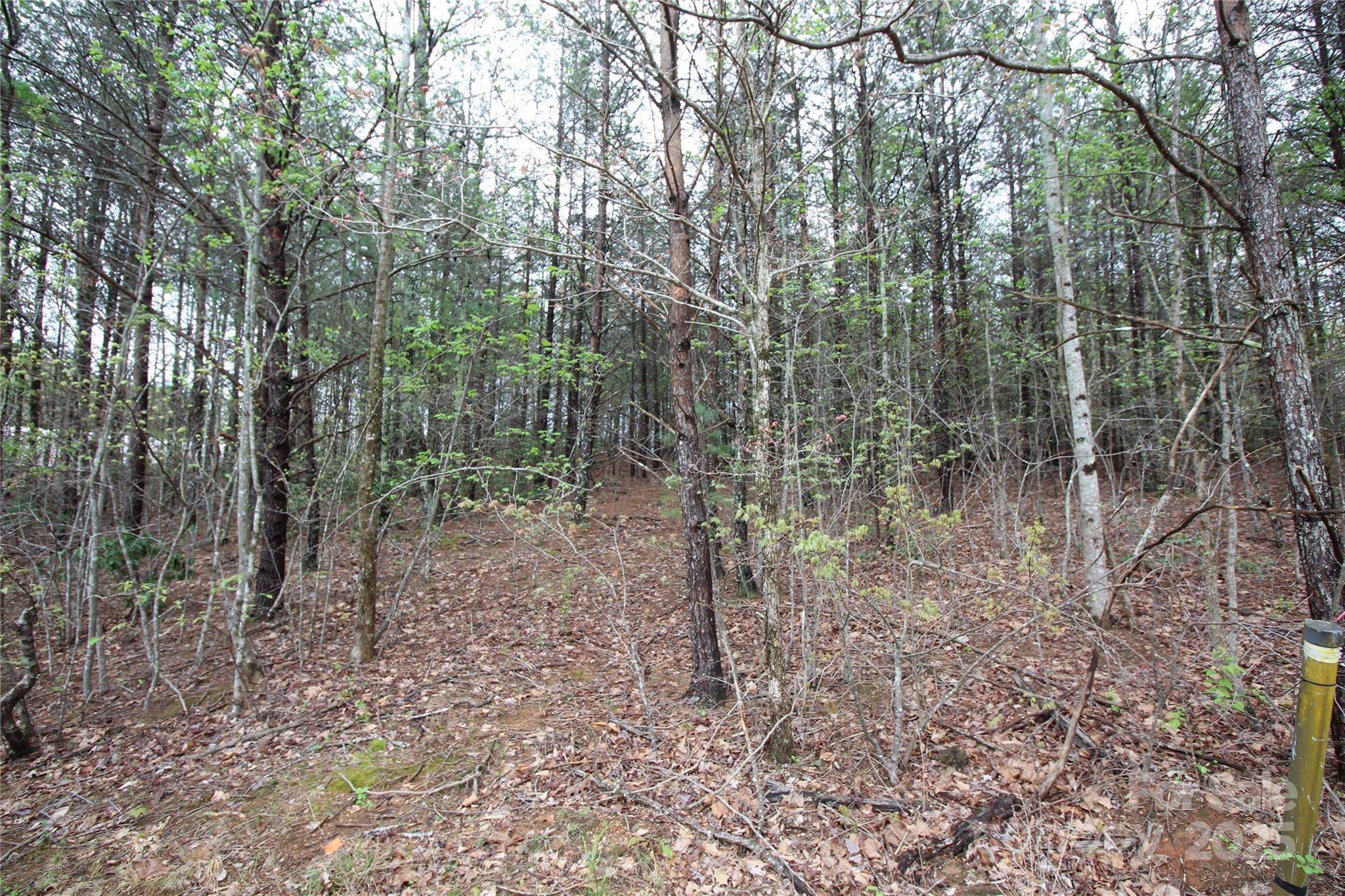 Lot 4 Ridge Way, Unit LOT 4 Marion, NC 28752 - Photo 1 of 7 Gallery Image 1