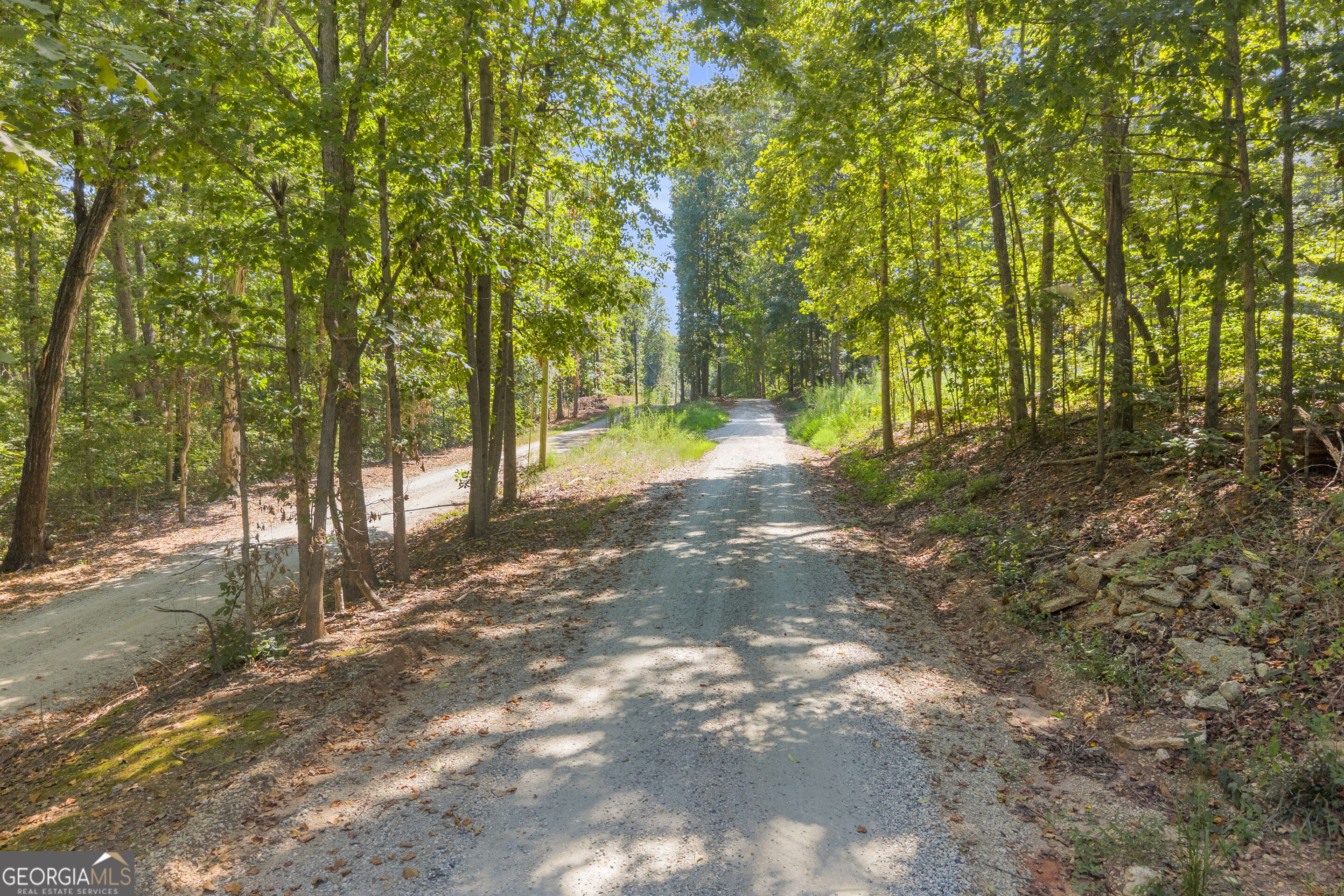 0 Ridgeview Court Lavonia, GA 30553 - Photo 25 of 28 Gallery Image 25