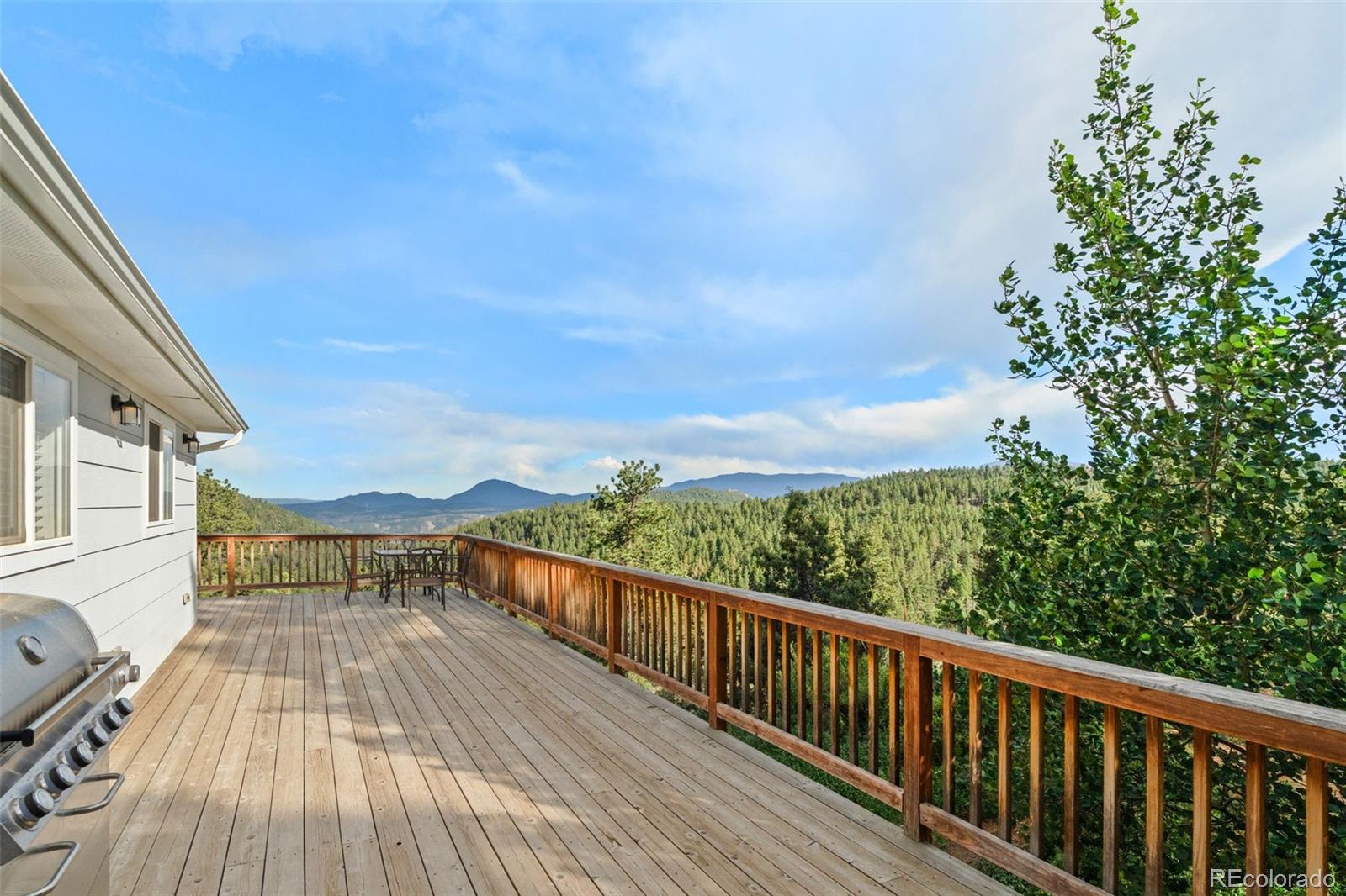 125 Sun Way Bailey, CO 80421 - Photo 31 of 43