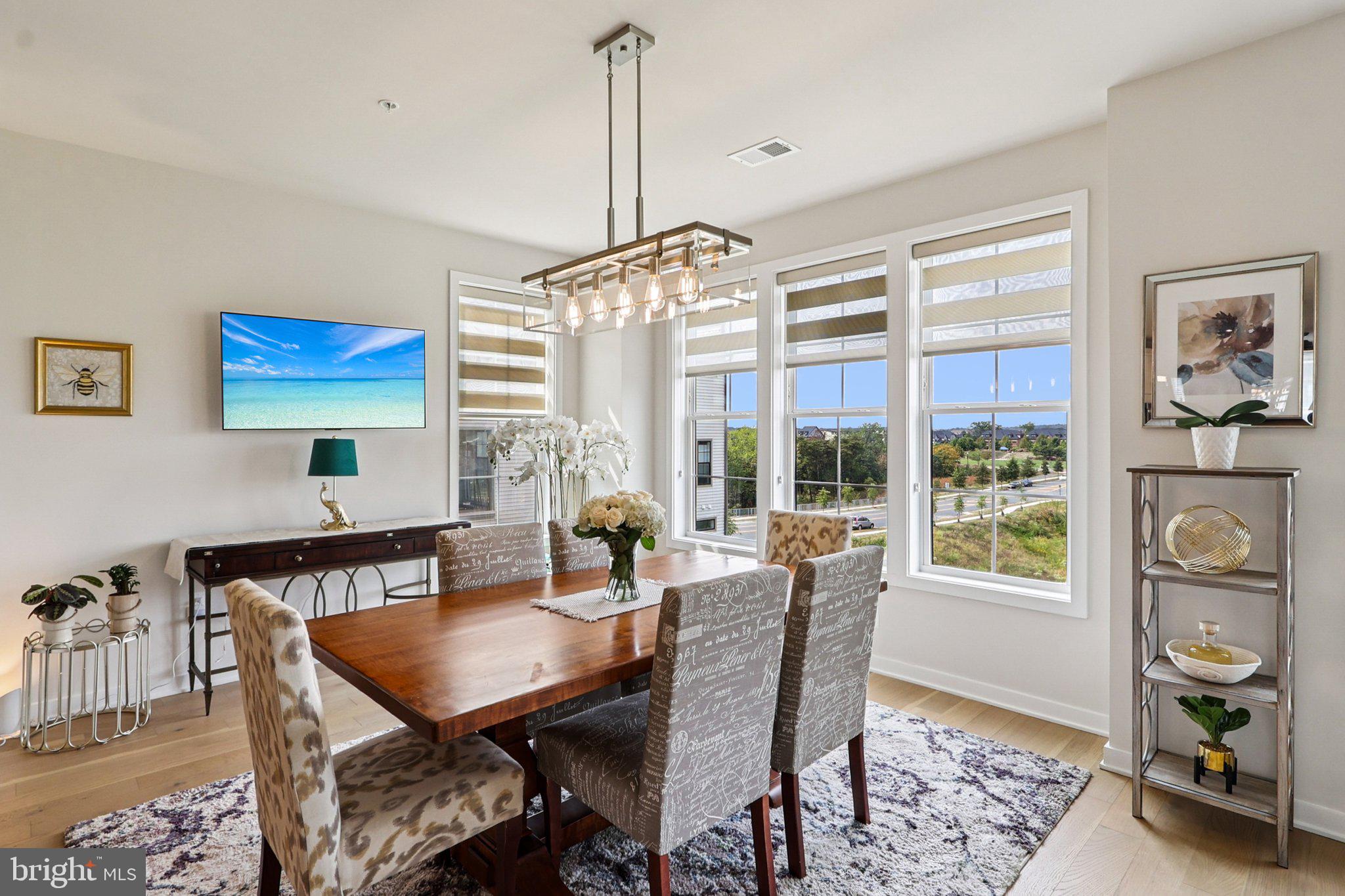 22381 Roanoke Rise Terrace Ashburn, VA 20148 - Photo 18 of 69 a dining room with furniture a rug a potted plant and a chandelier