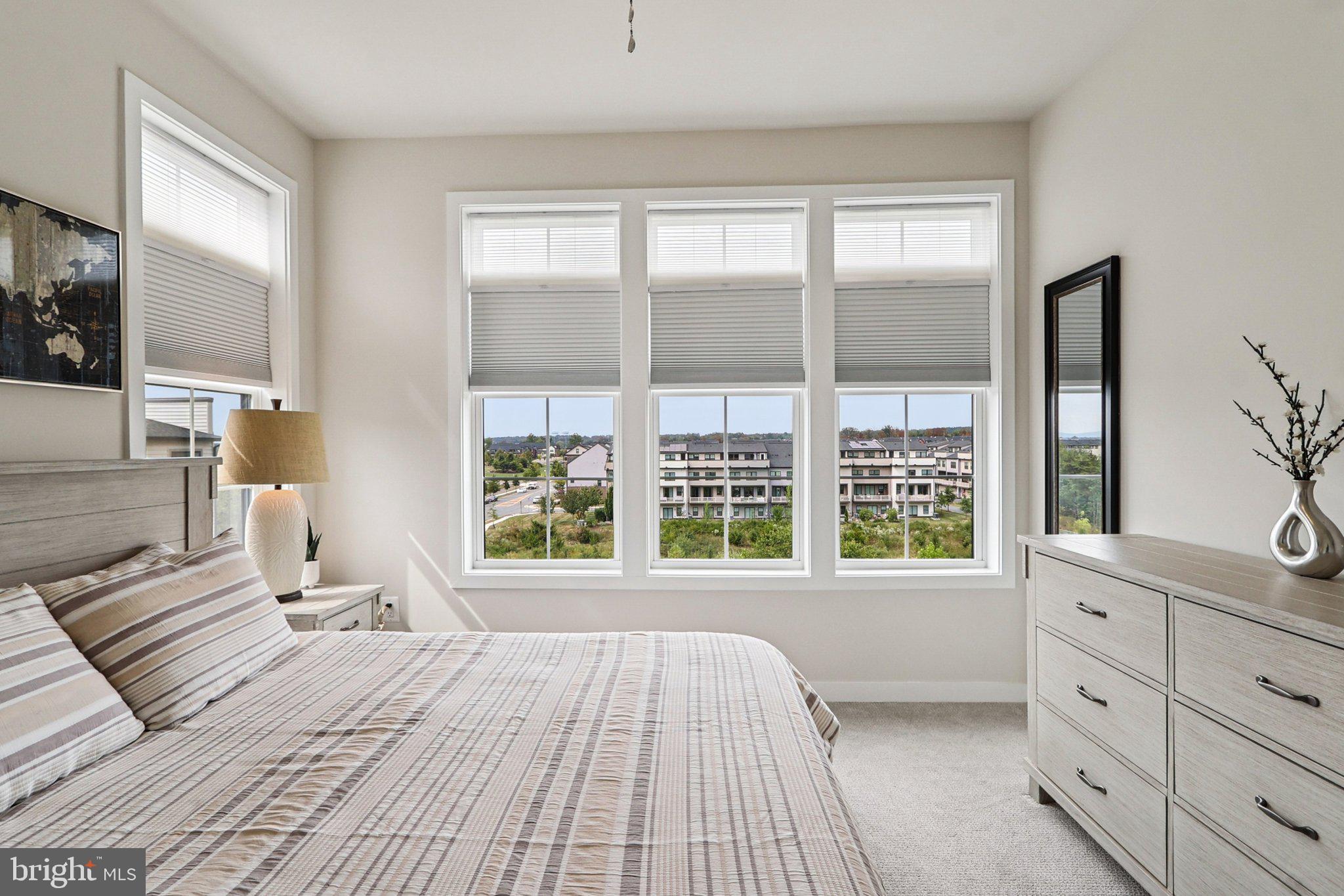 22381 Roanoke Rise Terrace Ashburn, VA 20148 - Photo 42 of 69 a bedroom with a large bed and a window
