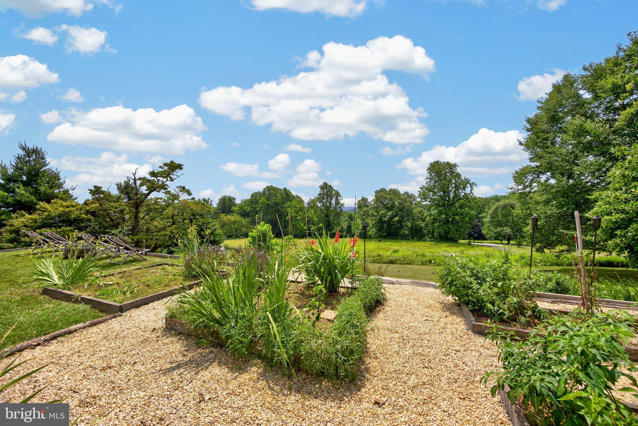 1015 Chester Springs Road Phoenixville, PA 19460 - Photo 47 of 68 Lush garden oasis under blue skies.