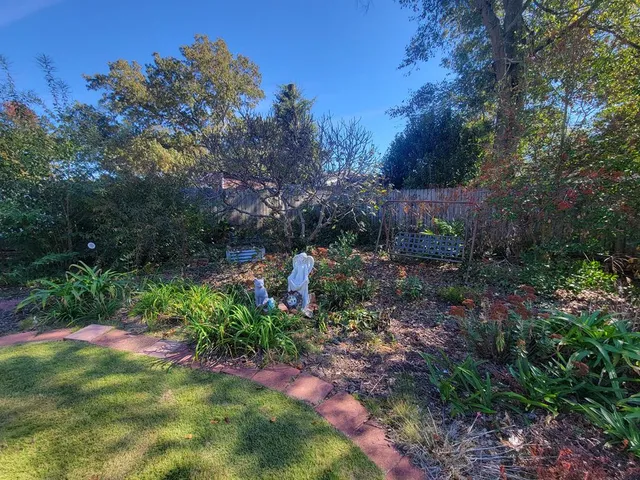 a view of a garden with plants