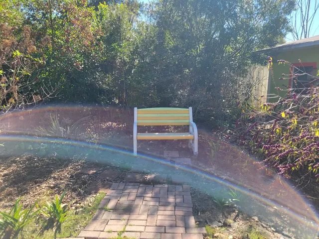 a view of a back yard