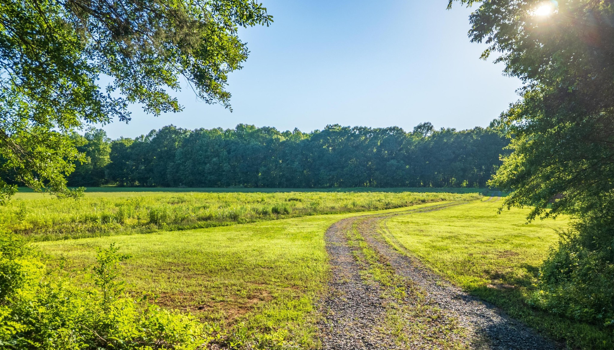 0 Reynolds Bridge Road Benton, TN 37307 - Photo 15 of 15