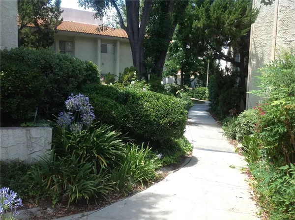 a view of a garden with plants