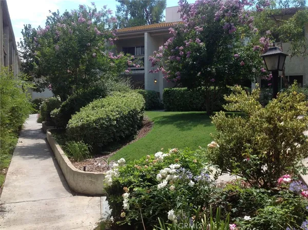 a view of a garden with plants