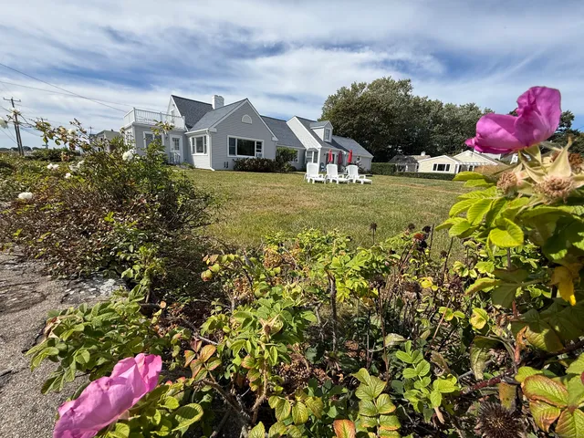 a front view of a house with yard