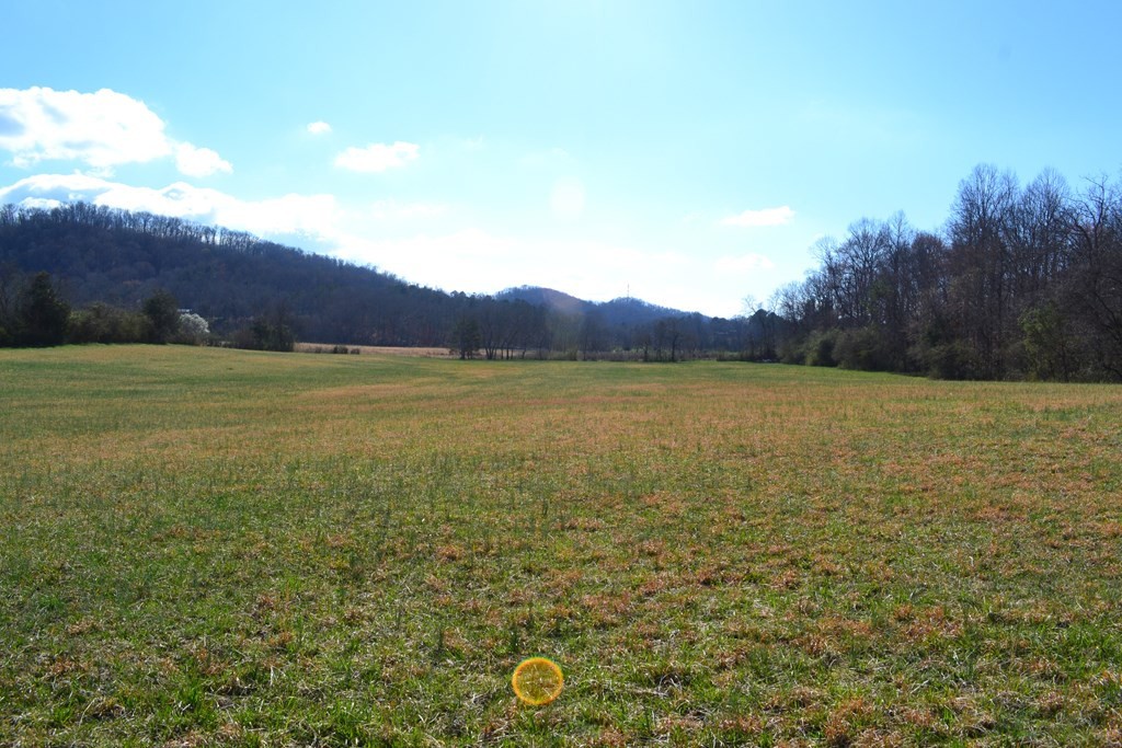 0 Tipton Station Road Knoxville, TN 37920 - Photo 3 of 12