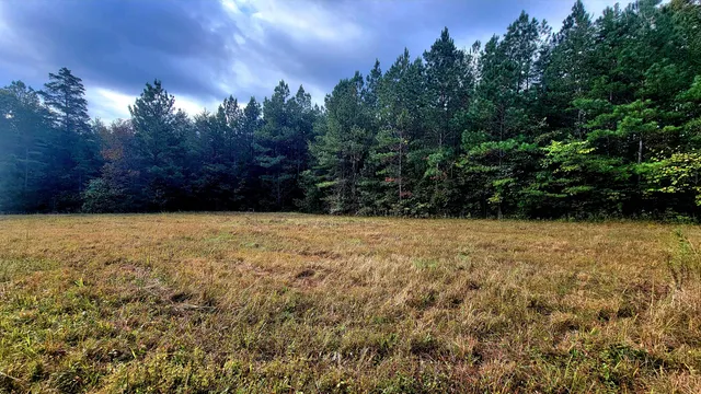 $389,000 | 0 Straight Gut Road, LaFayette, GA 30728