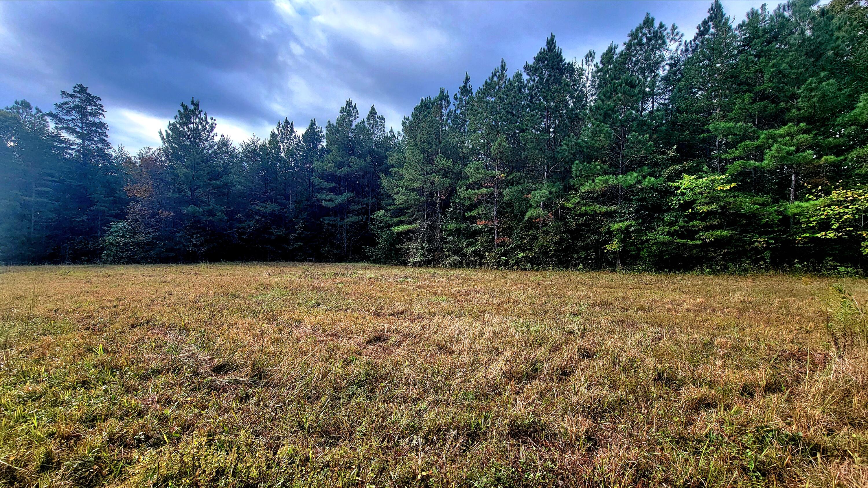 0 Straight Gut Road LaFayette, GA 30728 - Photo 11 of 38 1000048399