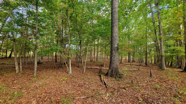 $389,000 | 0 Straight Gut Road, LaFayette, GA 30728
