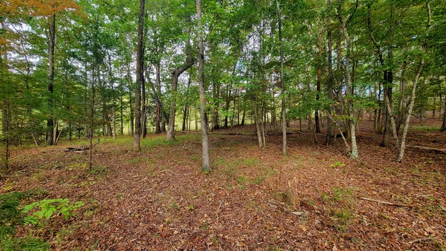 $389,000 | 0 Straight Gut Road, LaFayette, GA 30728