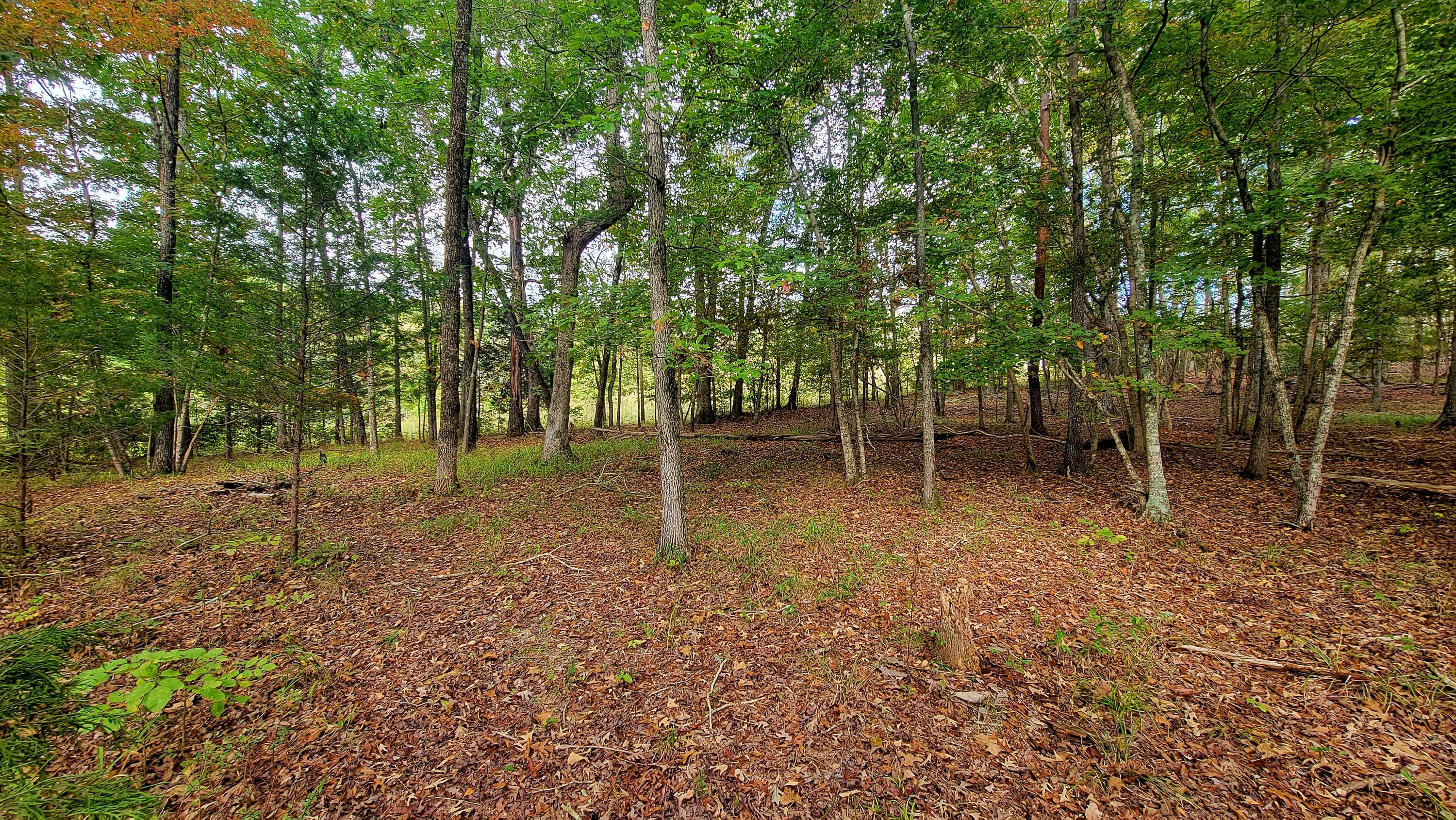 0 Straight Gut Road LaFayette, GA 30728 - Photo 16 of 38 1000048400