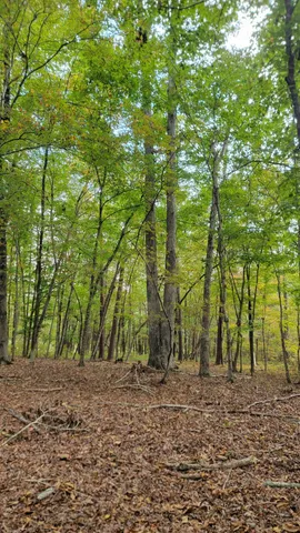 $389,000 | 0 Straight Gut Road, LaFayette, GA 30728