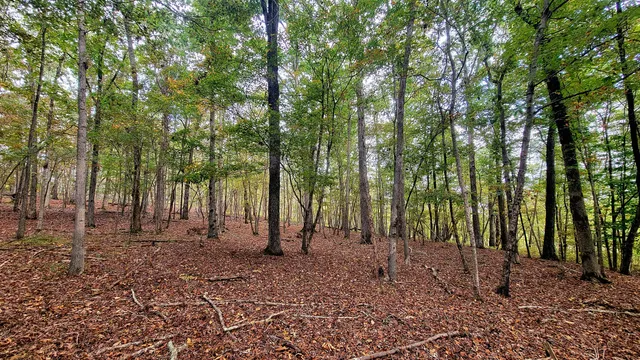 $389,000 | 0 Straight Gut Road, LaFayette, GA 30728