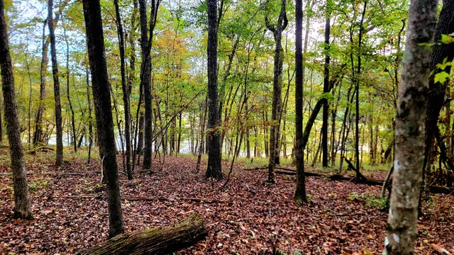 $389,000 | 0 Straight Gut Road, LaFayette, GA 30728