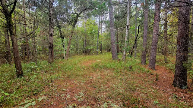 $389,000 | 0 Straight Gut Road, LaFayette, GA 30728