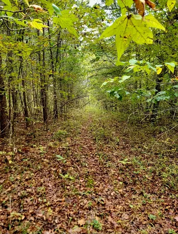 $389,000 | 0 Straight Gut Road, LaFayette, GA 30728