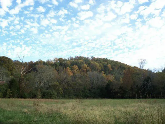 $389,000 | 0 Straight Gut Road, LaFayette, GA 30728