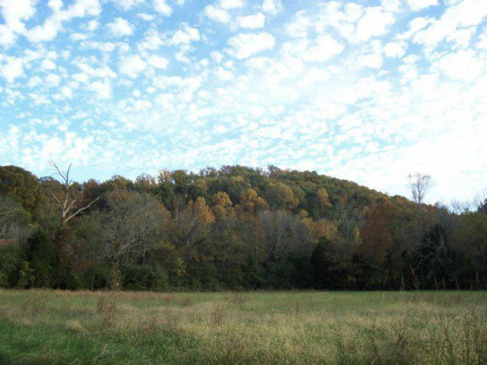 0 Straight Gut Road LaFayette, GA 30728 - Photo 23 of 38 IMG_4290