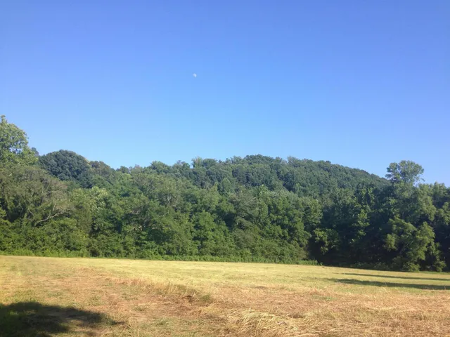 $389,000 | 0 Straight Gut Road, LaFayette, GA 30728