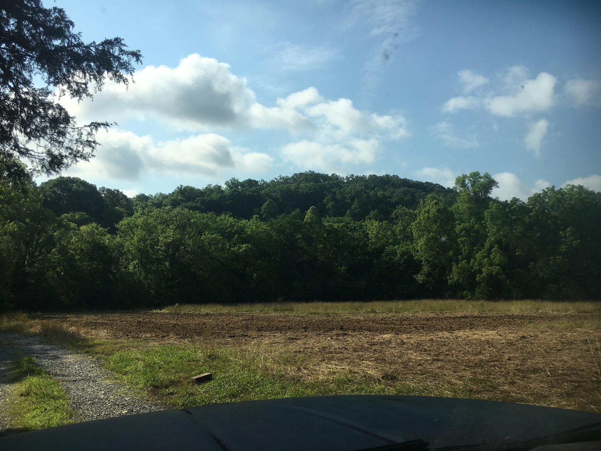 0 Straight Gut Road LaFayette, GA 30728 - Photo 25 of 38 IMG_8470