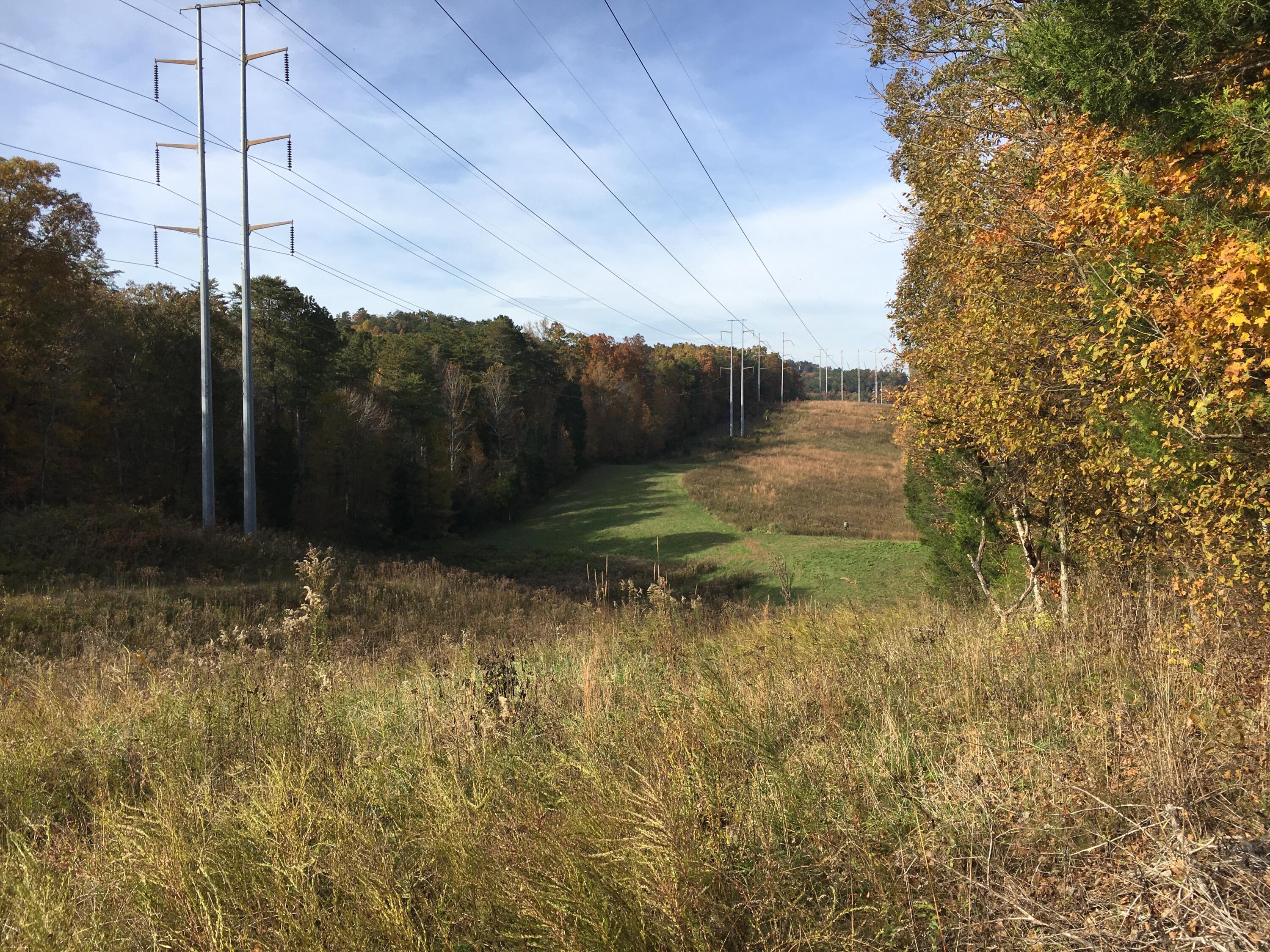 0 Straight Gut Road LaFayette, GA 30728 - Photo 27 of 38 IMG_2625