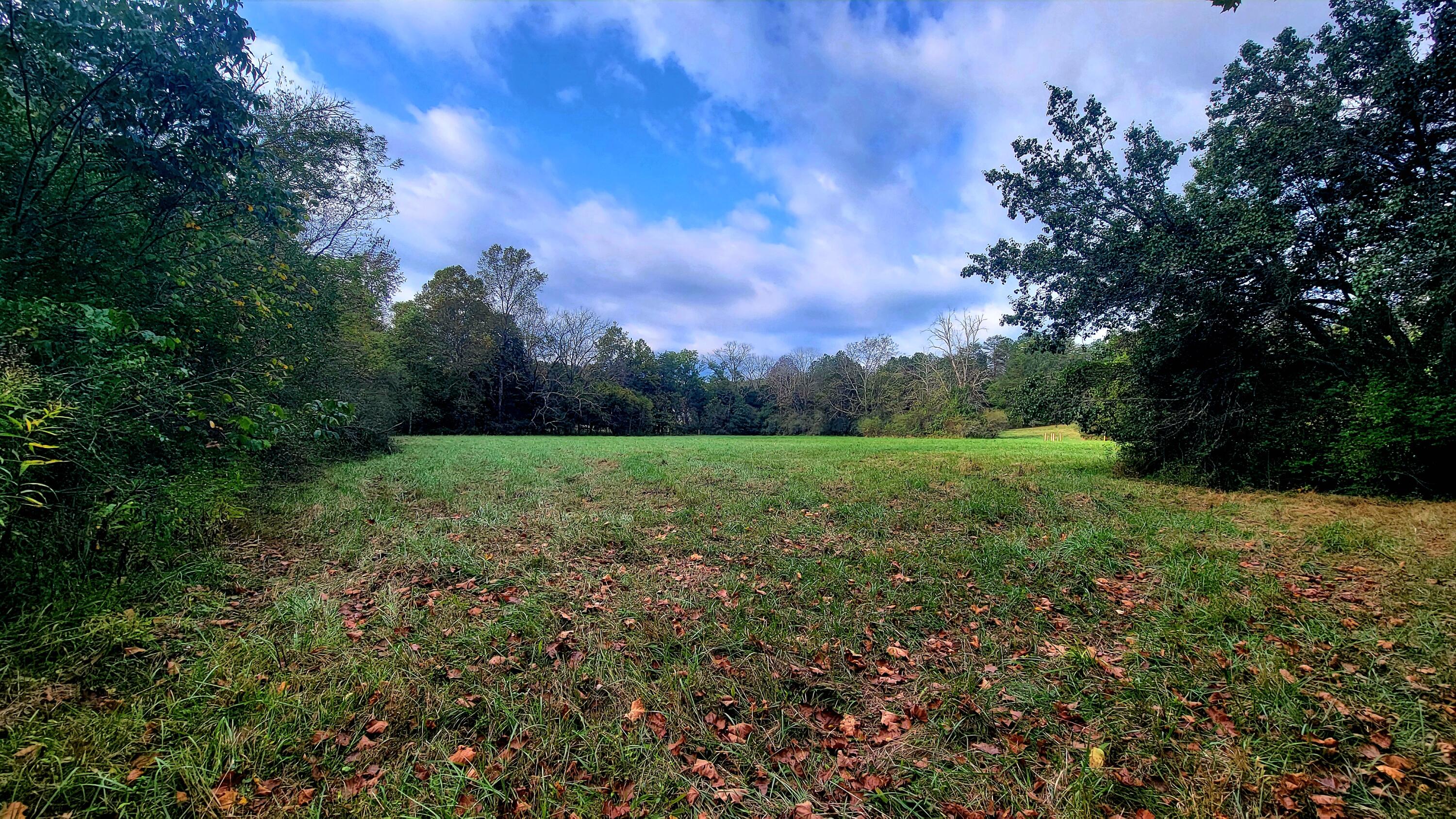 0 Straight Gut Road LaFayette, GA 30728 - Photo 3 of 38 1000048392