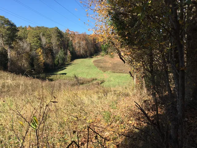 $389,000 | 0 Straight Gut Road, LaFayette, GA 30728