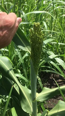 $389,000 | 0 Straight Gut Road, LaFayette, GA 30728