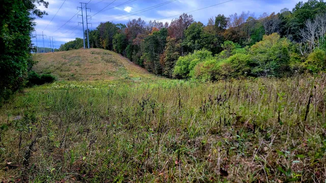 $389,000 | 0 Straight Gut Road, LaFayette, GA 30728