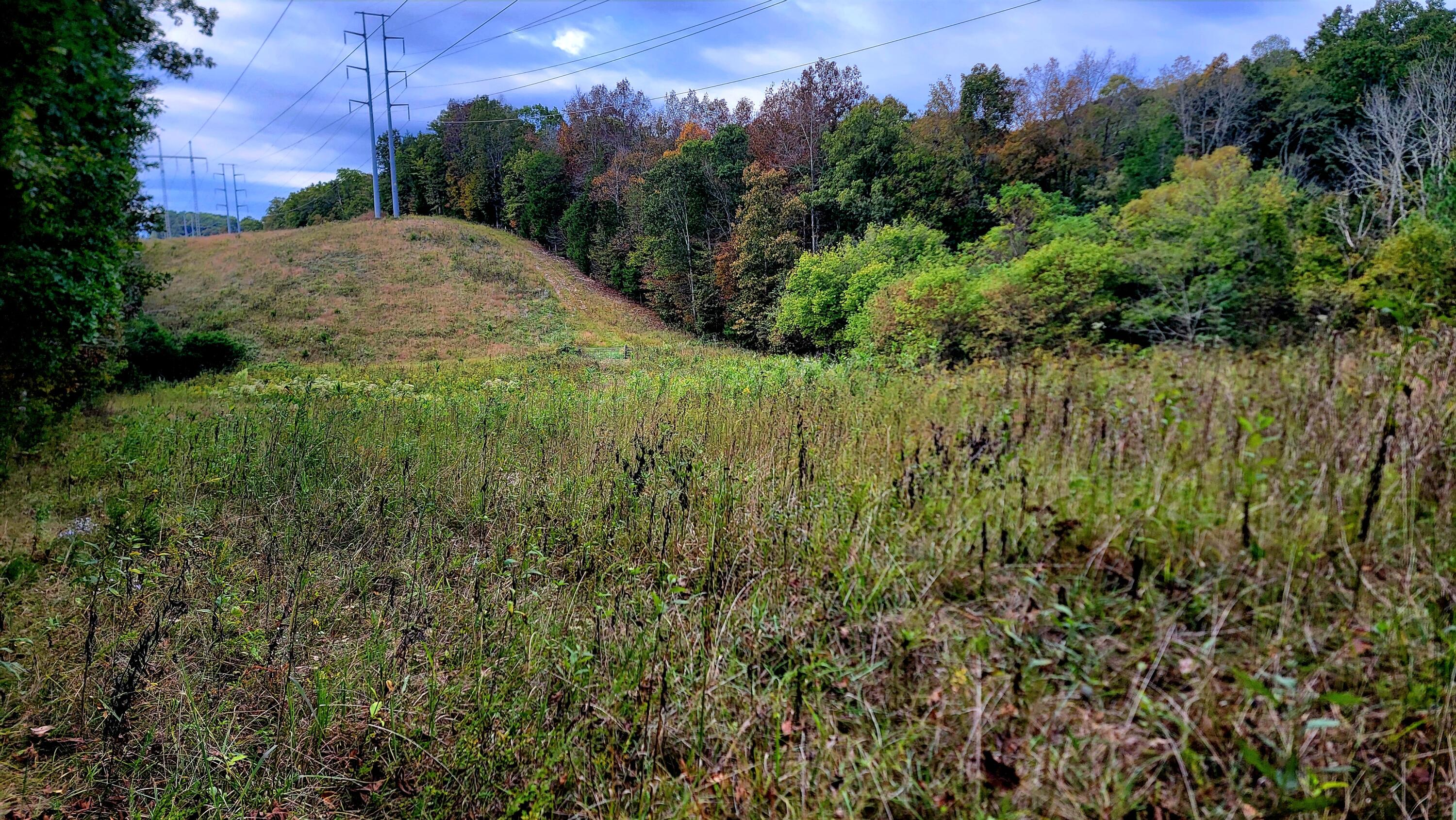 0 Straight Gut Road LaFayette, GA 30728 - Photo 37 of 38 1000048406