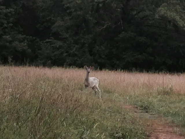 $389,000 | 0 Straight Gut Road, LaFayette, GA 30728