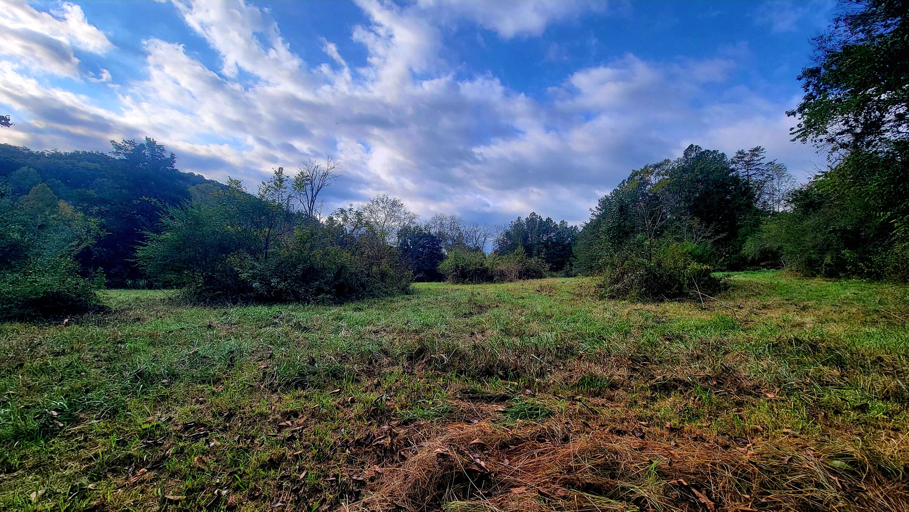 0 Straight Gut Road LaFayette, GA 30728 - Photo 8 of 38 1000048393