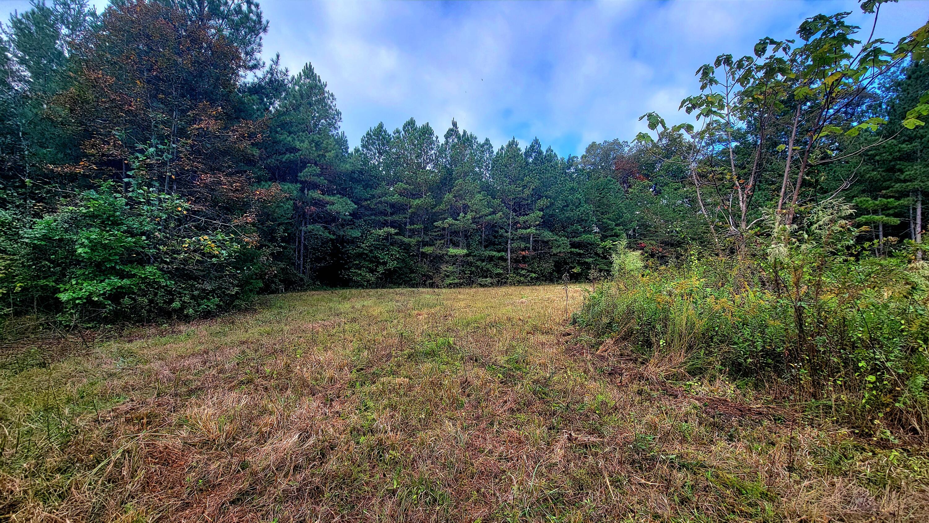 0 Straight Gut Road LaFayette, GA 30728 - Photo 9 of 38 1000048395