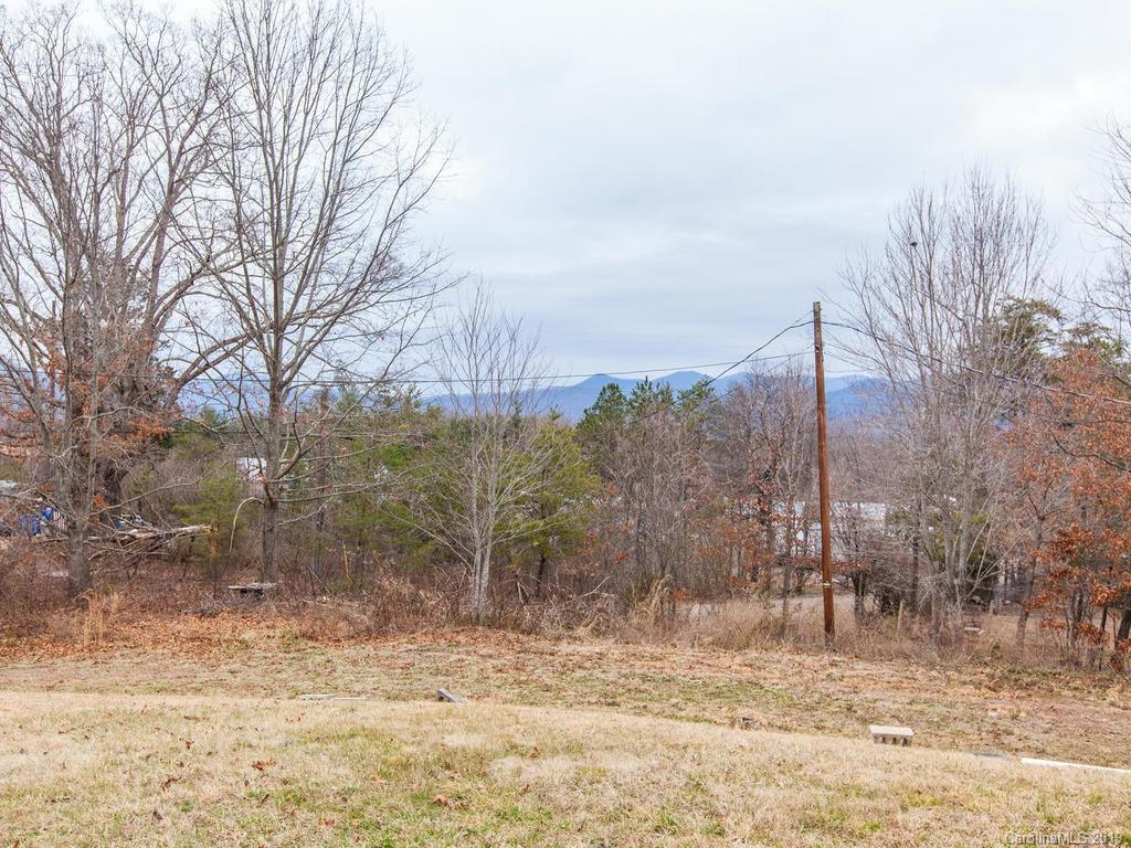 104 Walnut Cove Road Swannanoa, NC 28778 - Photo 4 of 35 Gallery Image 4