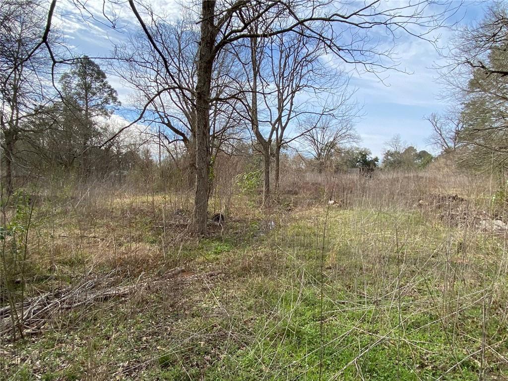 4405 3rd Street Alexandria, LA 71302 - Photo 11 of 12