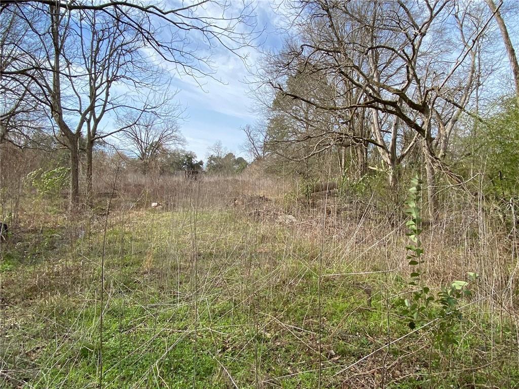 4405 3rd Street Alexandria, LA 71302 - Photo 12 of 12