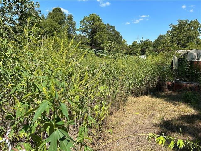 4405 3rd Street Alexandria, LA 71302 - Photo 3 of 12