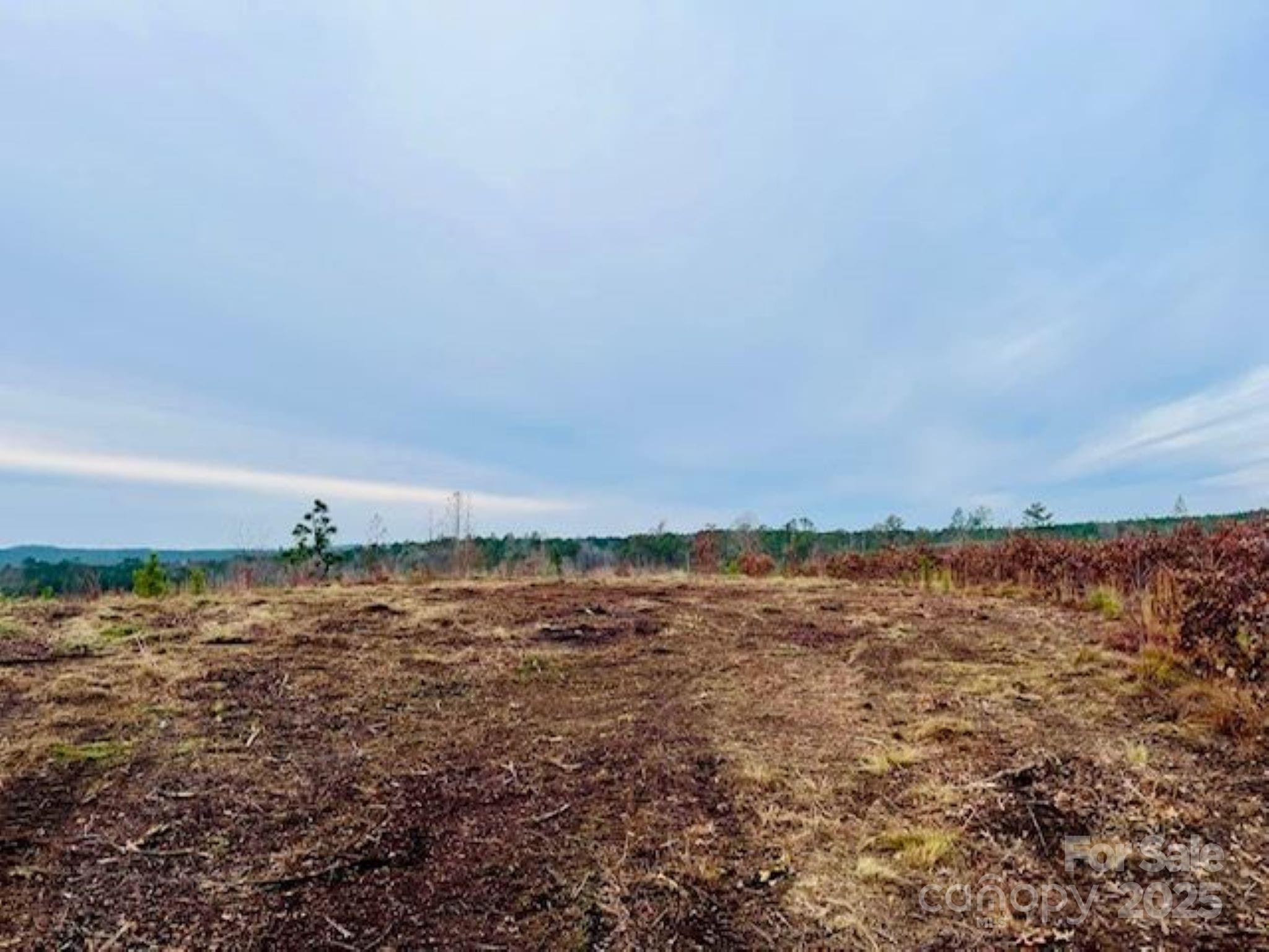 27.5-ac Tract 27.5-ac Tract Gun O Field Road Wallace, SC 29596 - Photo 11 of 20 a view of ocean view with beach
