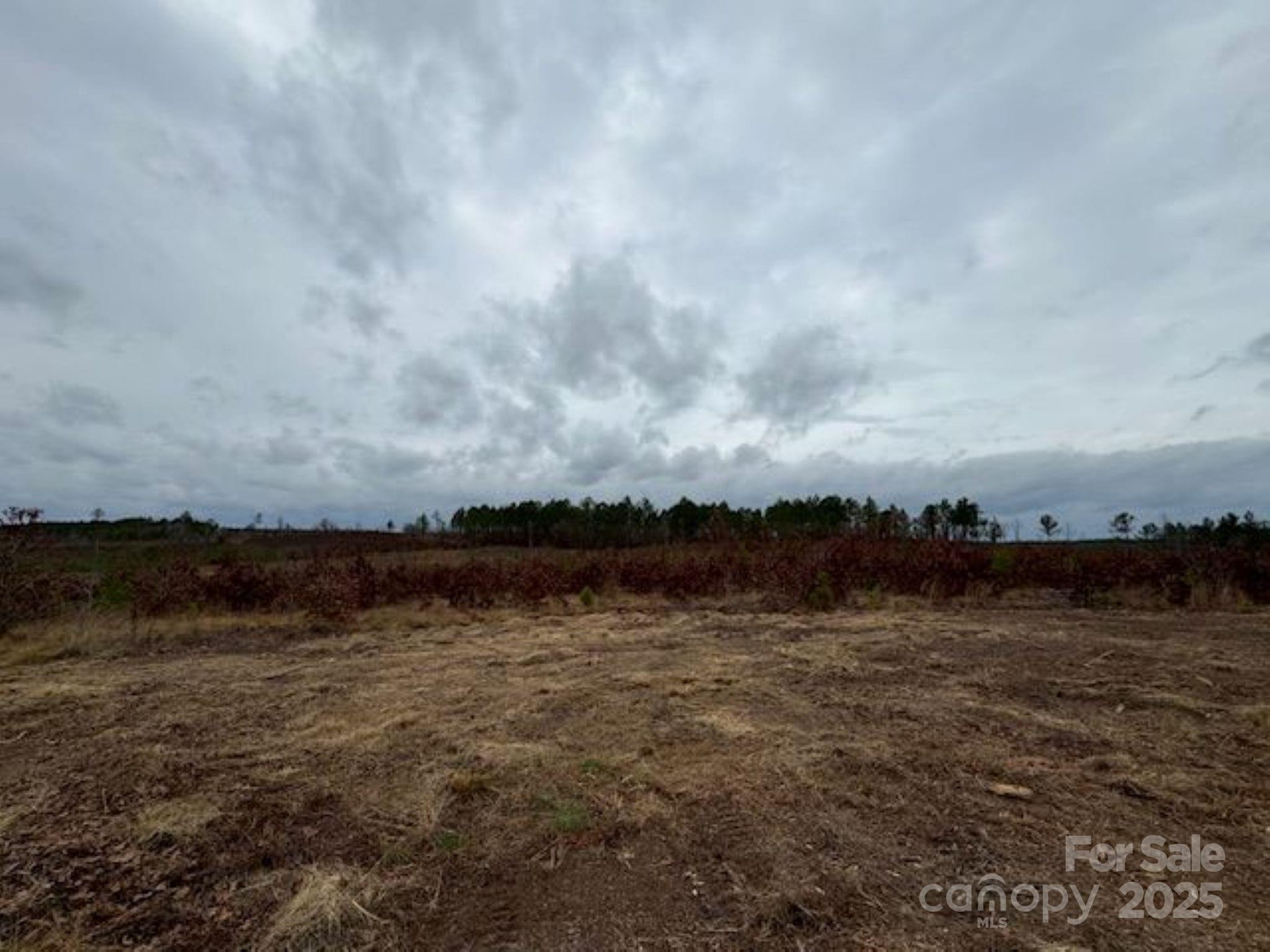 27.5-ac Tract 27.5-ac Tract Gun O Field Road Wallace, SC 29596 - Photo 14 of 20 a view of lake with mountain