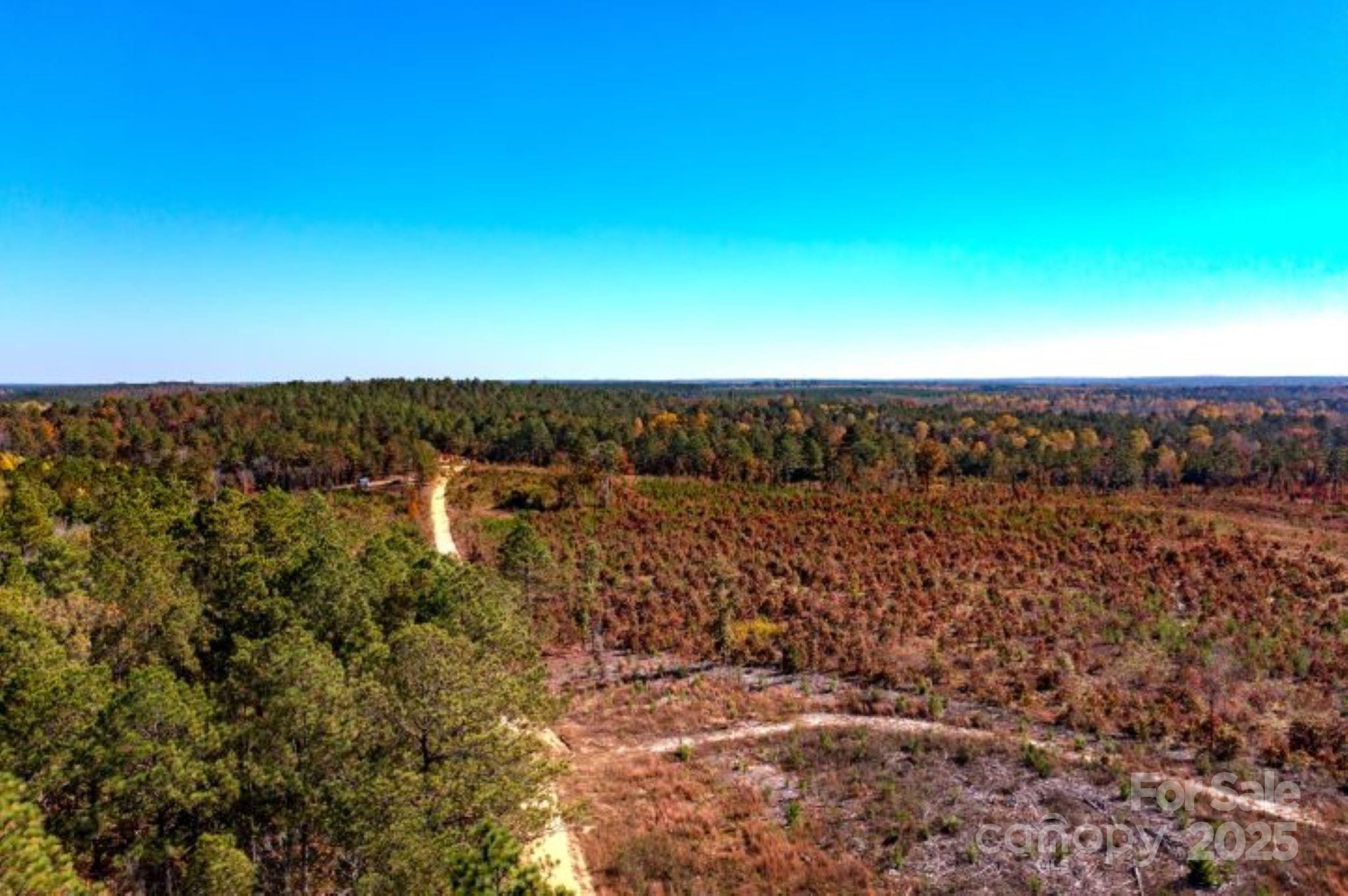 27.5-ac Tract 27.5-ac Tract Gun O Field Road Wallace, SC 29596 - Photo 2 of 20 an aerial view of a house