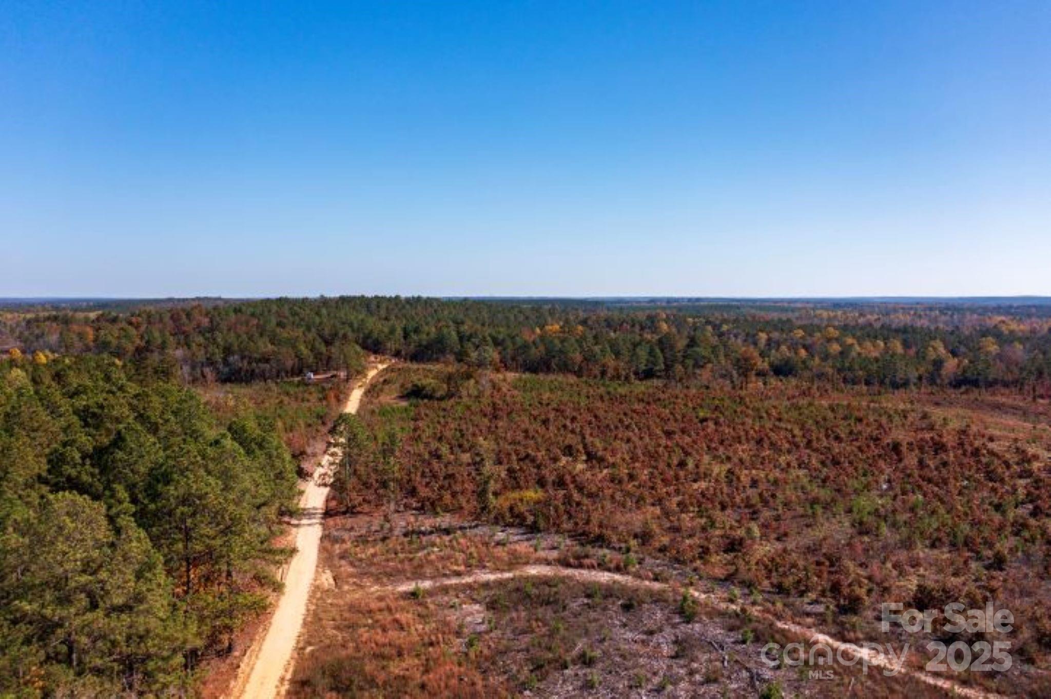 27.5-ac Tract 27.5-ac Tract Gun O Field Road Wallace, SC 29596 - Photo 6 of 20