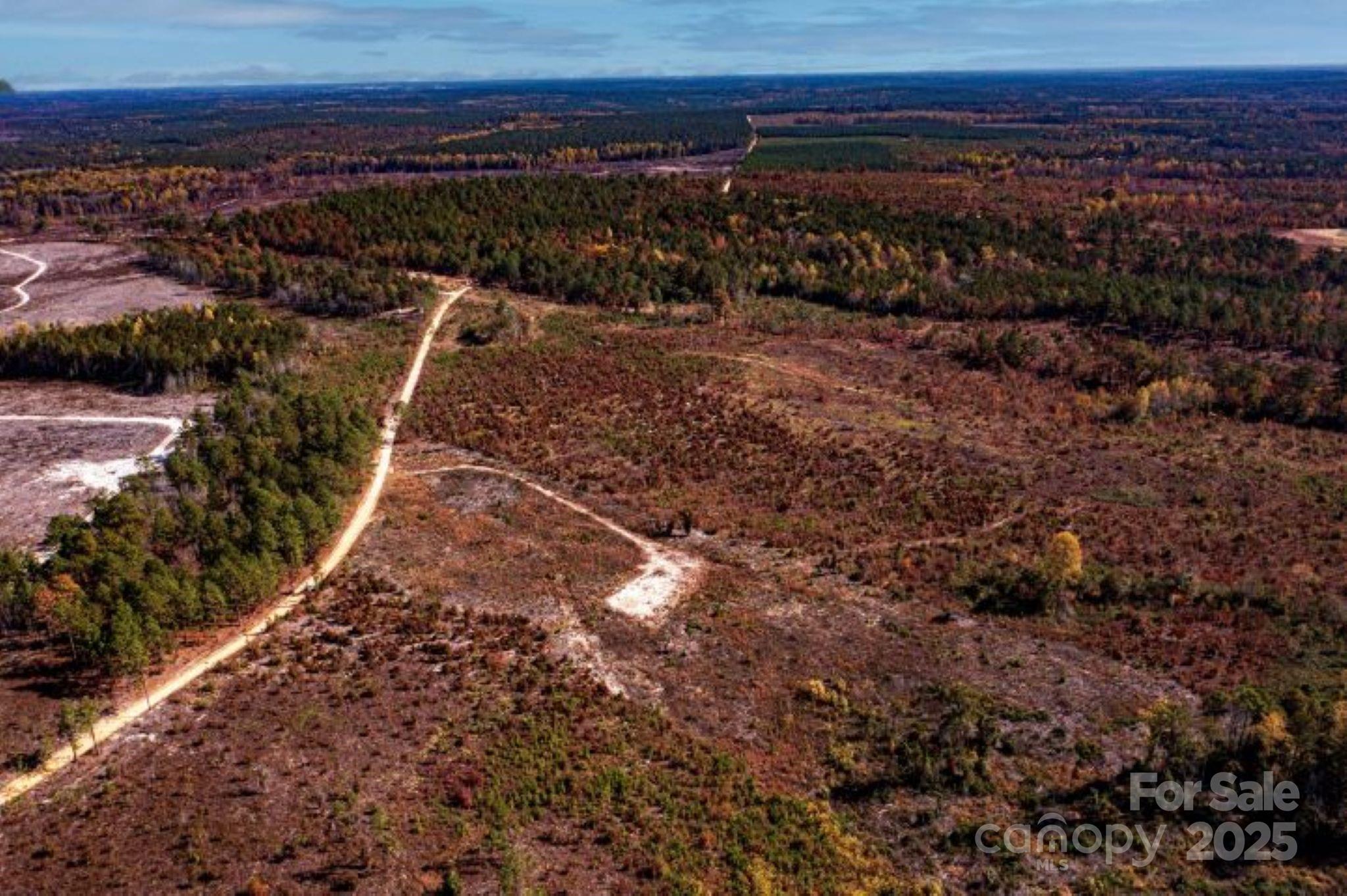 27.5-ac Tract 27.5-ac Tract Gun O Field Road Wallace, SC 29596 - Photo 7 of 20 a view of a yard
