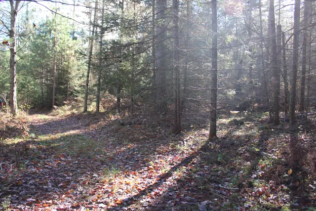 $39,000 | -vl Bowden Trail, Hillman, MI 49746