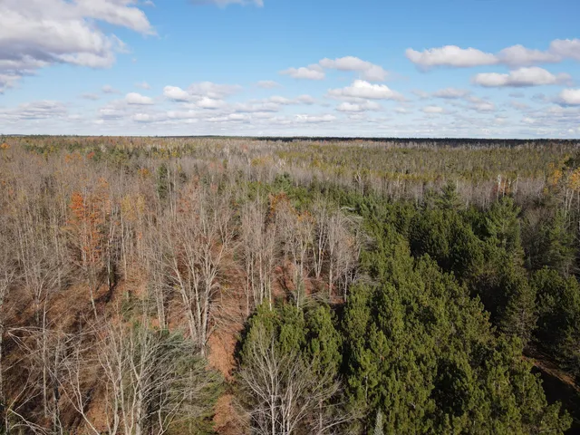 $39,000 | -vl Bowden Trail, Hillman, MI 49746