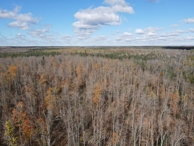 $39,000 | -vl Bowden Trail, Hillman, MI 49746